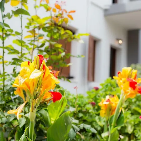 Apartment Stellar I Platanias (Crete)